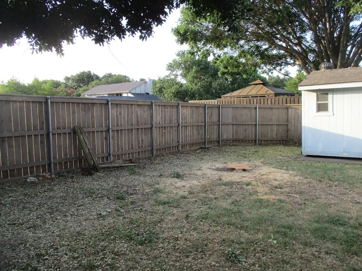 Cleared yard after professional tree removal in Folsom